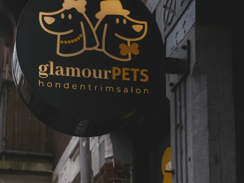 Pet groomer at work