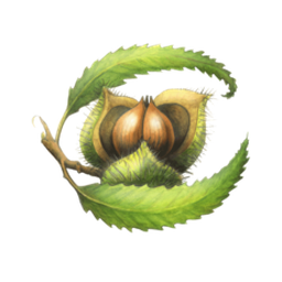 Chestnut School of Herbal Medicine logo