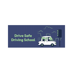 Drive Safe Driving School (Texas) logo