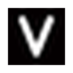 Vizio Makeup Academy logo