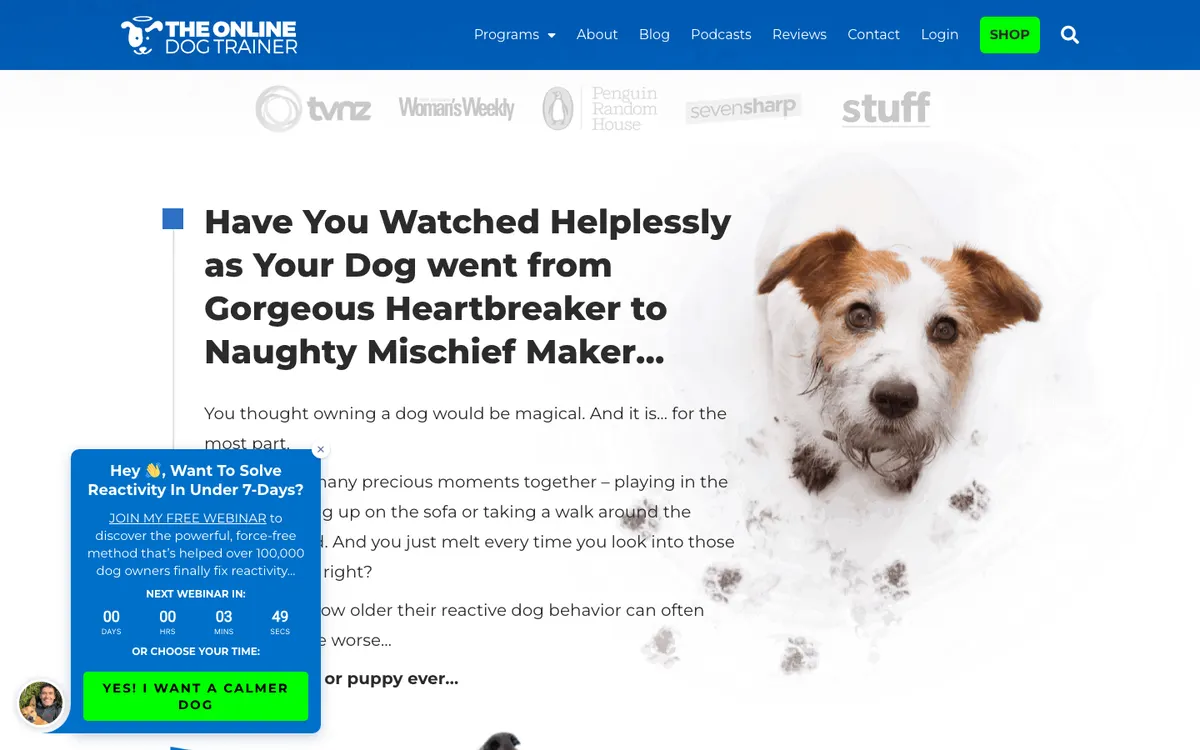 The Online Dog Trainer (Doggy Dan) official site — homepage (scrolled)