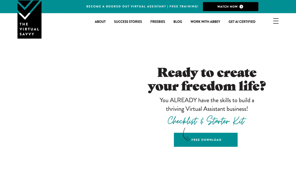 The Virtual Savvy official site — homepage