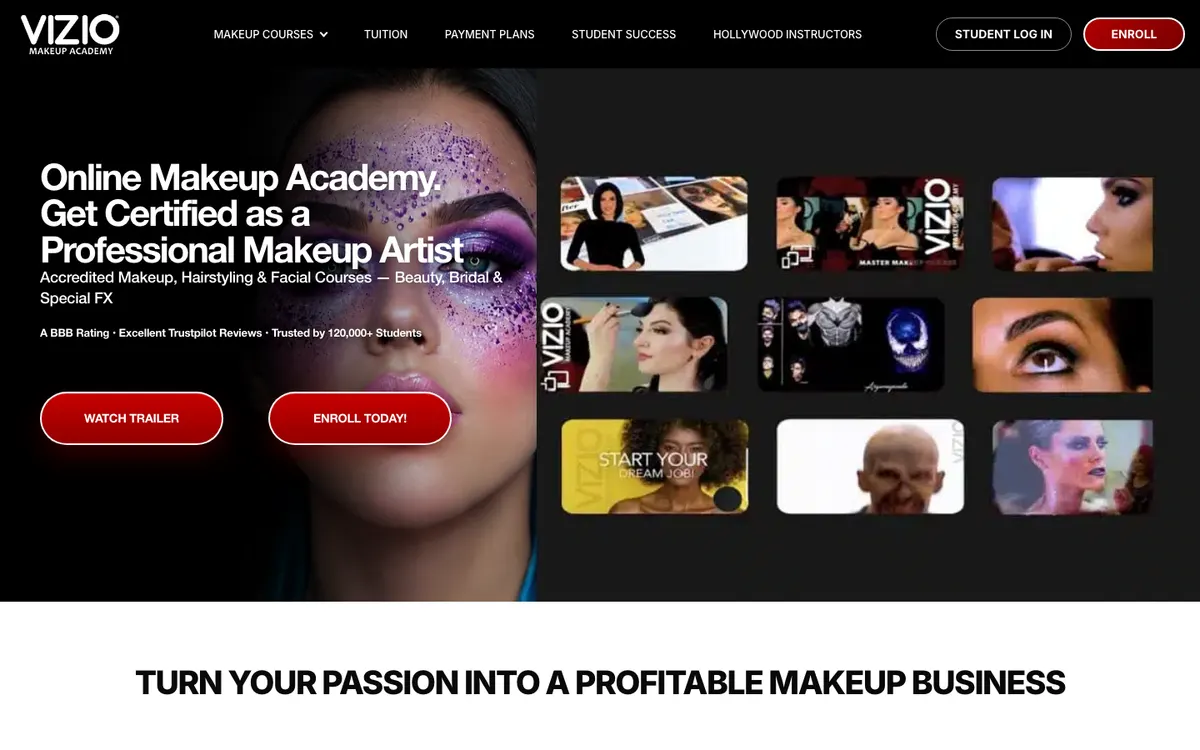 Vizio Makeup Academy official site — homepage